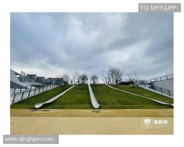 重磅专题：杭州极限运动队的反击革新